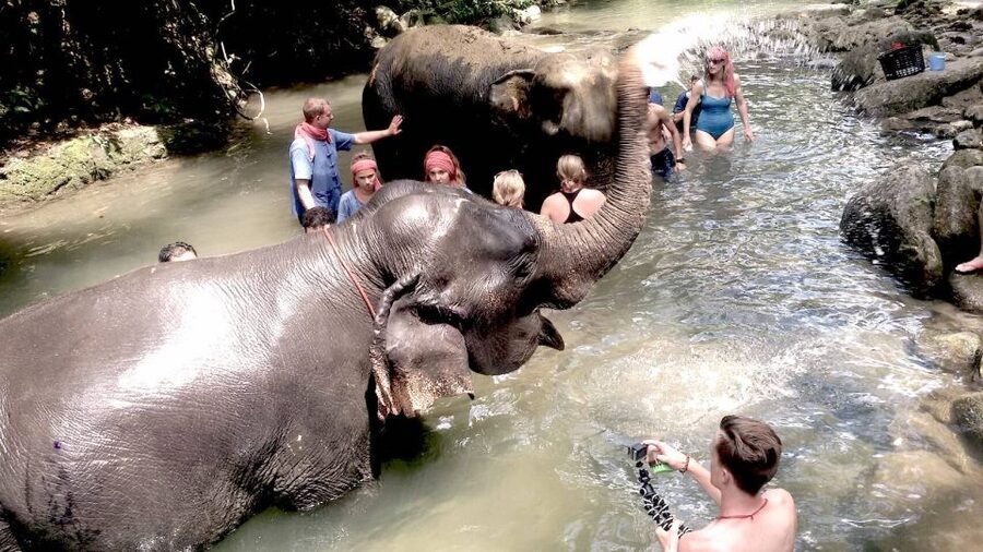 From Phuket: Elephant Care Experience with Rafting & Zipline - Thai lunch after the river