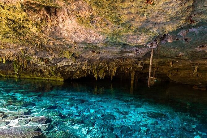 Full Day Adventure: Horses , ATV, Ziplines & Cenote w/Lunch - Mexican lunch after the activities