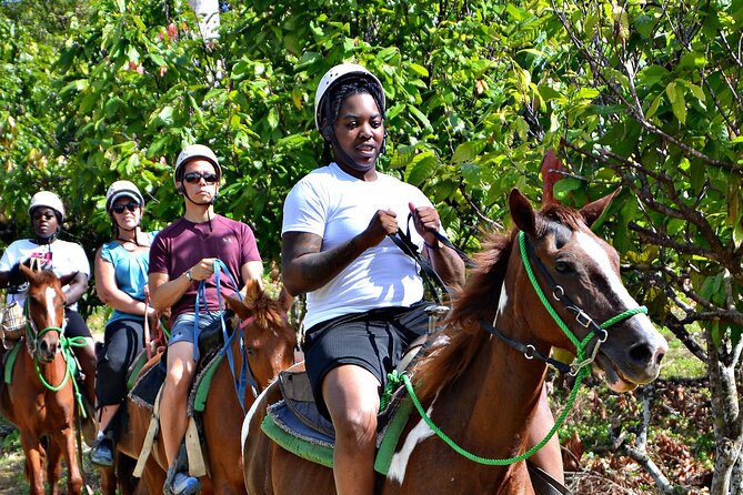 Full-Day La Hacienda Dune Buggy with Zipline & Horseback Activity - A swim in the river