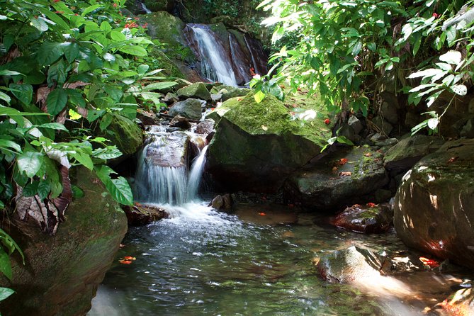 Full-Day Zipline and Waterfall Rappelling Adventure Near San Juan - What the $165 Price Really Covers