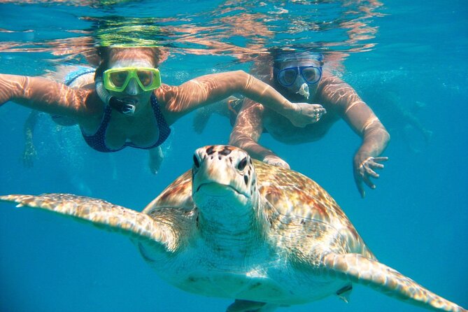 Full-dayTurtle Adventure: ATV, Zipline, Cenote & Turtle Swim - What the seven-hour day feels like