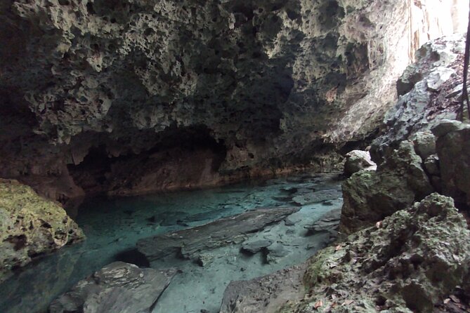 Full-dayTurtle Adventure: ATV, Zipline, Cenote & Turtle Swim - Three zip lines and a rappelling wall