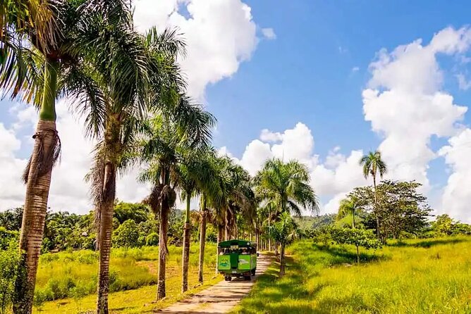 Full Dominican Adventure: Zipline, ATV Buggie, Horseback & Safari - The 5:30 a.m. departure and long road day