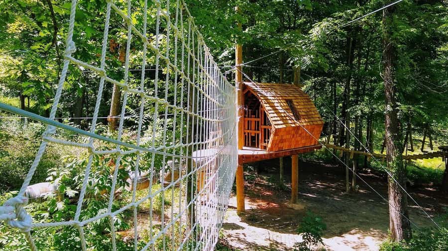 Galena: Aerial Adventure Park- Long Hollow Canopy Tours - The 400-foot finish on side-by-side ziplines