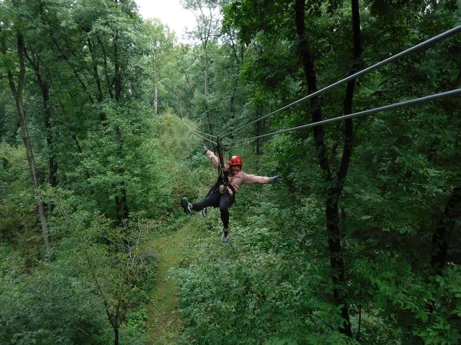 Galena: Zipline Adventure- Long Hollow Canopy Tours - Is $109 a good value?