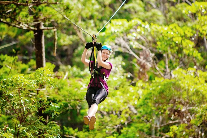 Gold Coast Canyon Flyer Zipline Tour - Canyon Flyer at a glance