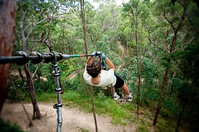 Gold Coast Canyon Flyer Zipline Tour - Who will enjoy this course most?