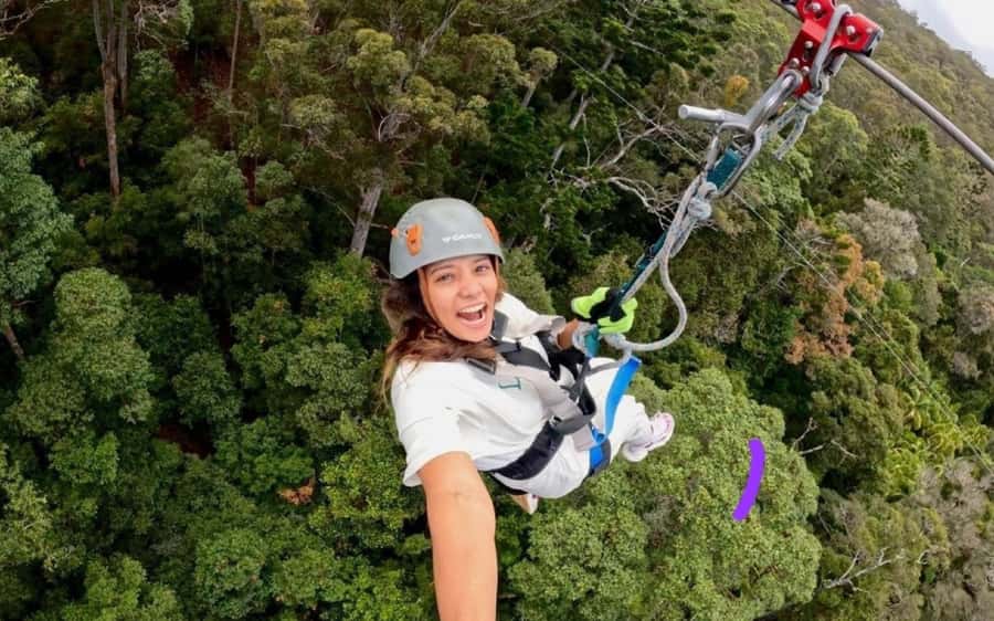 Gold Coast: Tamborine Mountain Canyon Flyer Zipline Tour - Key points at a glance