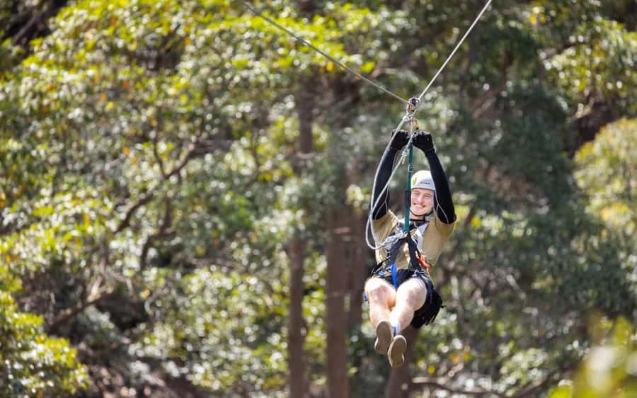 Gold Coast: Tamborine Mountain Canyon Flyer Zipline Tour - The scenic ride to the first platform