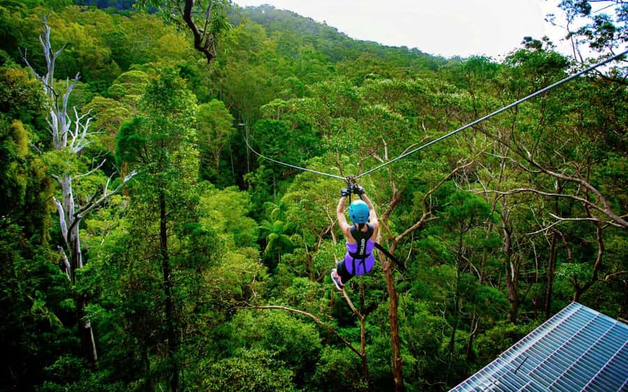 Gold Coast: Tamborine Mountain Canyon Flyer Zipline Tour - What to wear and what to leave behind