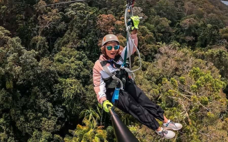 Gold Coast: Tamborine Mountain Canyon Flyer Zipline Tour - Reaching Thunderbird Park on Tamborine Mountain