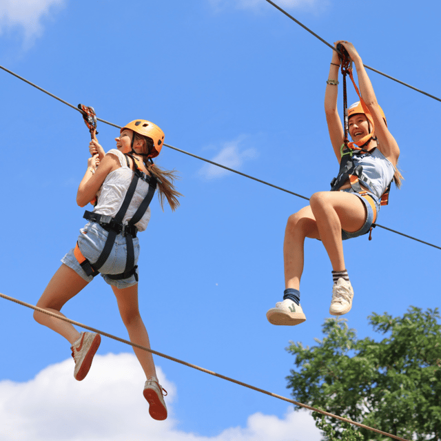 Gripped London: Zip Line, High Ropes & Freefall Adventure - Dual Zip Lines: fast, simple, and social