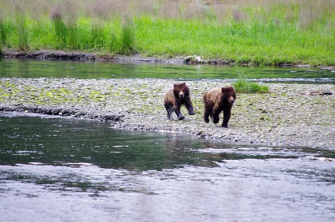 Grizzly Falls Ziplining Expedition - Key points at a glance