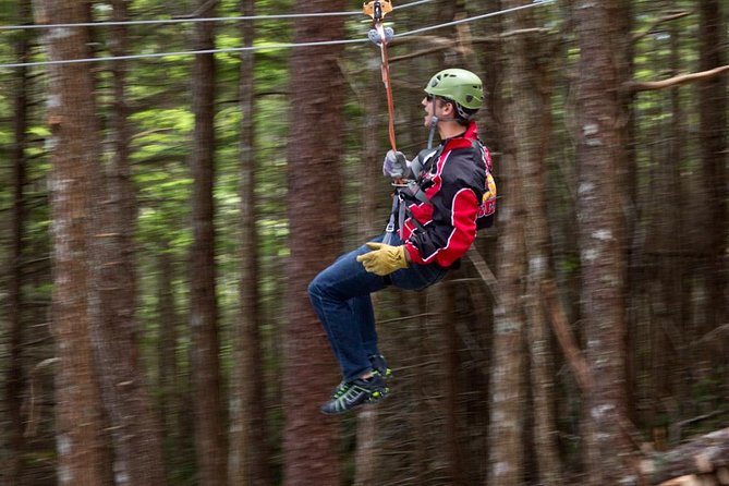 Grizzly Falls Ziplining Expedition - How the time and group size affect the day