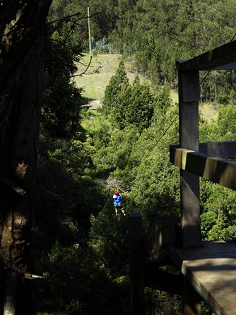 Haleakala 6 Line Zipline Adventure - Is the scenery worth the price?