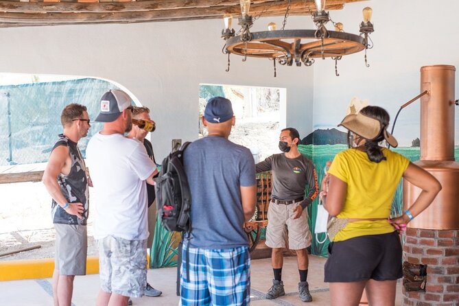 Half-Day San José del Cabo Zip Line and Rappel Adventure - Rappelling brings the strongest finish