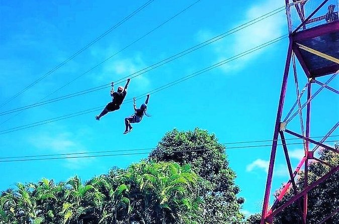 Half Day Tour in Rainforest Zipline Park with Transportation - Timing, pickup, and the half-day label