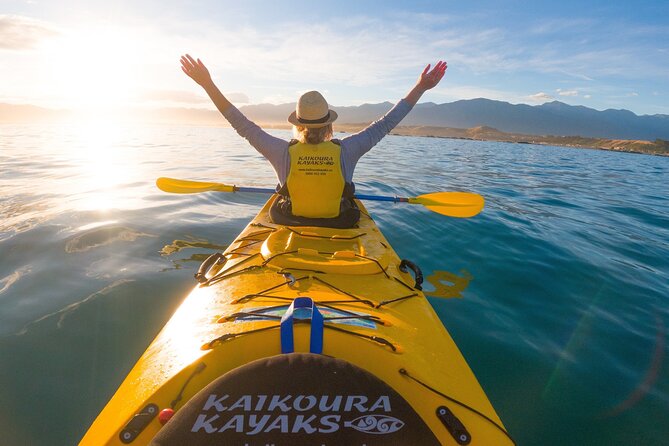 Half Day Zipline Adventure in Kaikoura - Guides are a major part of the value