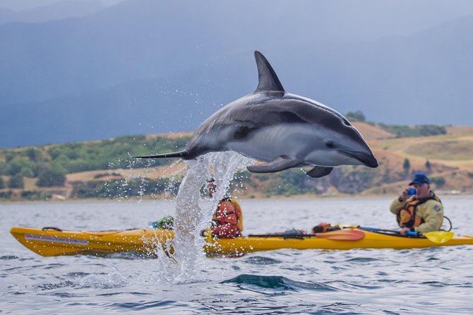 Half Day Zipline Adventure in Kaikoura - Who will get the most from this experience?