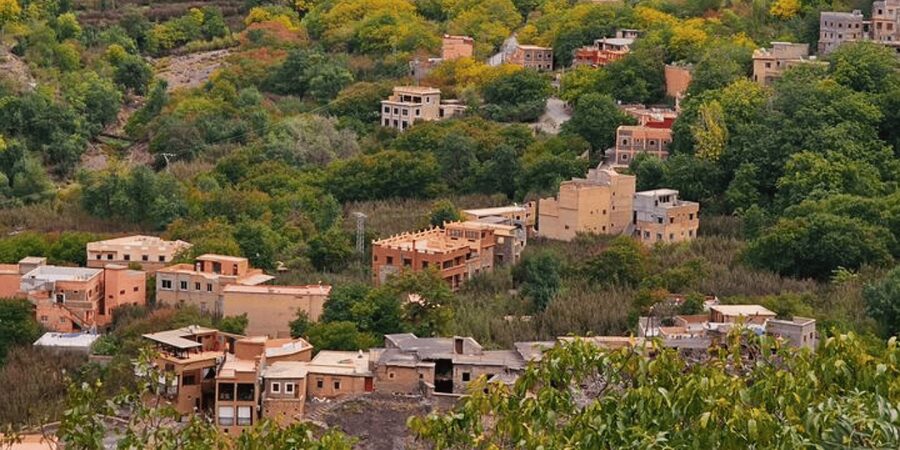 Half day Zipline out of marrakech city with breakfast - Flying above the pine forest