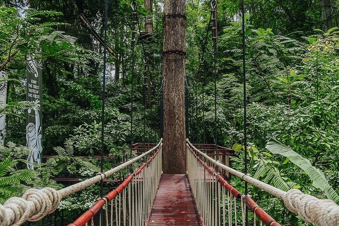 Hanuman World Zipline & Skywalk Phuket - Comparing the packages without getting lost