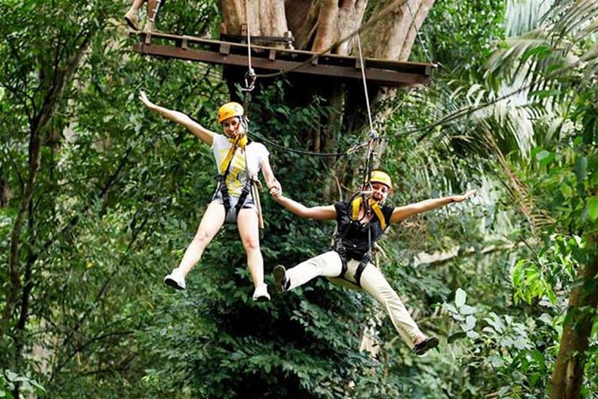 Hanuman Ziplines Adventure Tours - What the forest setting adds