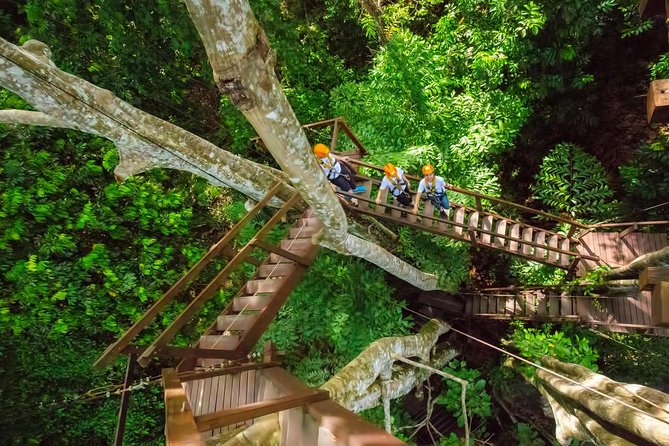 Hanuman Ziplines Adventure Tours - Who will enjoy Hanuman World most?