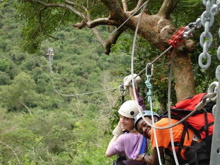 Hazyview: 2.5-Hour Sabie River Zip Line Experience - Riding above the 1.2-kilometer forest trail