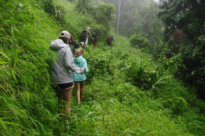 Hiking and Zipline Private Tour from Chiang Mai +Karen Village - A full day beyond Chiang Mai’s city streets