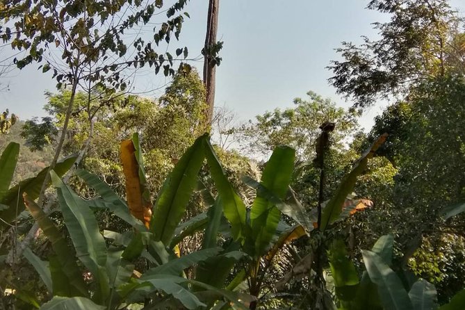 Hiking and Zipline Private Tour from Chiang Mai +Karen Village - Hiking toward Mae Sa Waterfall