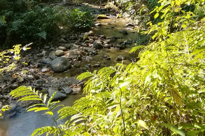 Hiking and Zipline Private Tour from Chiang Mai +Karen Village - Who should book this Chiang Mai adventure