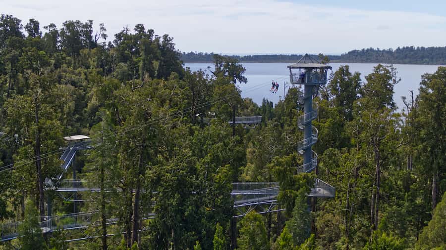 Hokitika: West Coast Tree Top Tower Zip Line and Walk - Key points to know before you go