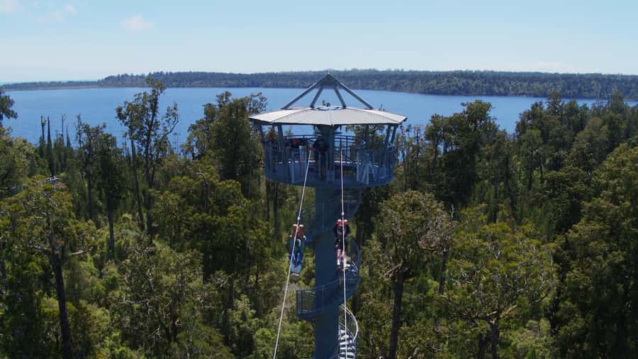 Hokitika: West Coast Tree Top Tower Zip Line and Walk - Climbing 106 steps to the spiral tower