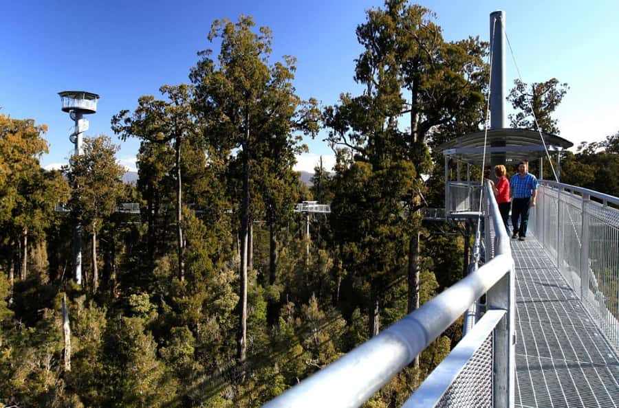 Hokitika: West Coast Tree Top Tower Zip Line and Walk - The cafe makes a useful finish