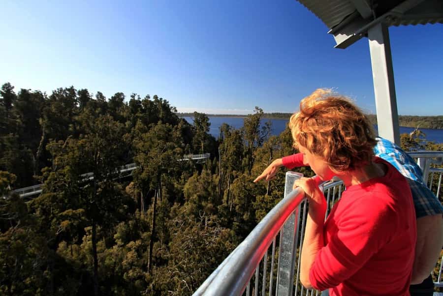 Hokitika: West Coast Tree Top Tower Zip Line and Walk - Walking among Hokitika’s ancient rainforest