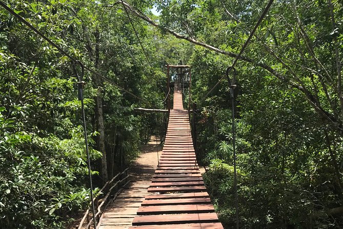 Horseback riding and ATV in the jungle, Ziplines, Cenote & Lunch - Lunch, drinks, and the tequila stop