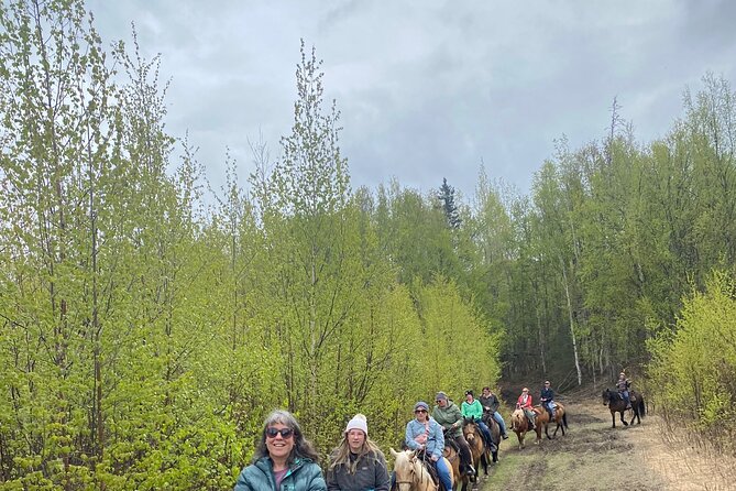 Horseback & Zipline Adventure in Alaska Mountains includes Lunch - Six tandem lines through Wolverine Canyon