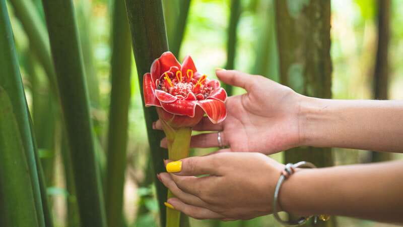 Huatulco: Nature Park with Fruit Tasting & Optional Zipline - Key points to know before you go