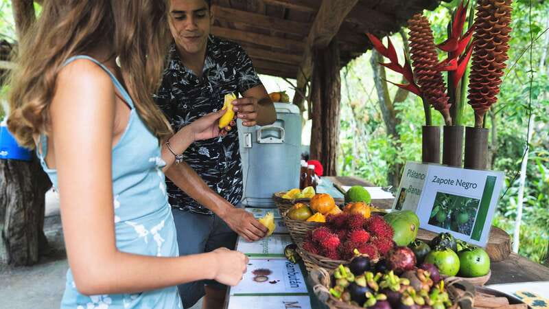 Huatulco: Nature Park with Fruit Tasting & Optional Zipline - Following the trail through plants and flowers