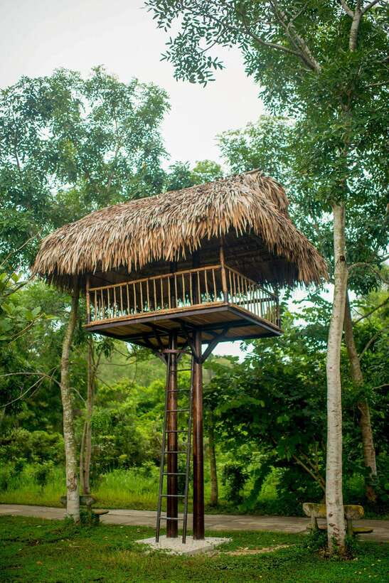 Hue: Full-day Nature’s Bliss From Hot Springs To Zip Line - Scenery, Comfort, and the Activity-Center Feel