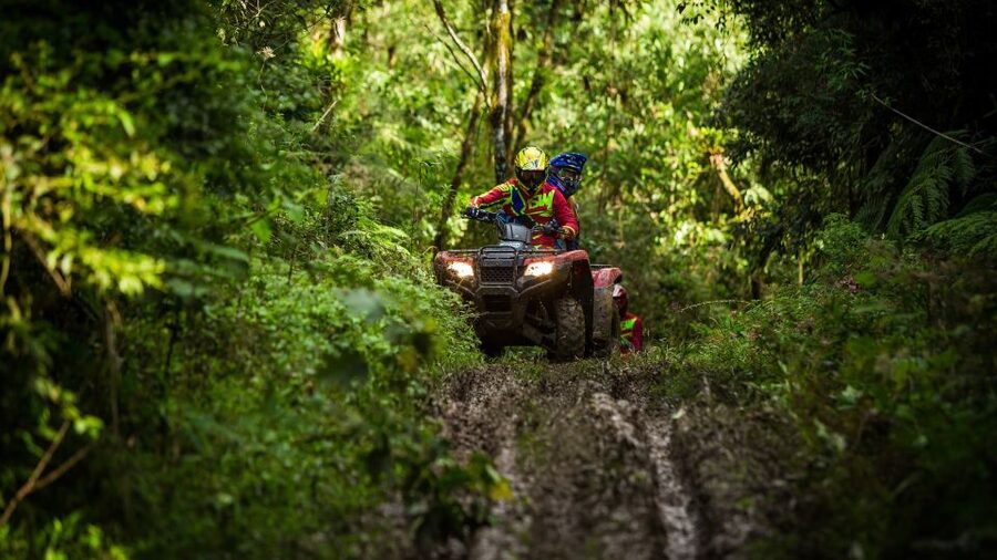 Istanbul: Belgrad Forest ATV Tour with Ziplining Option - Riding Through Belgrad Forest