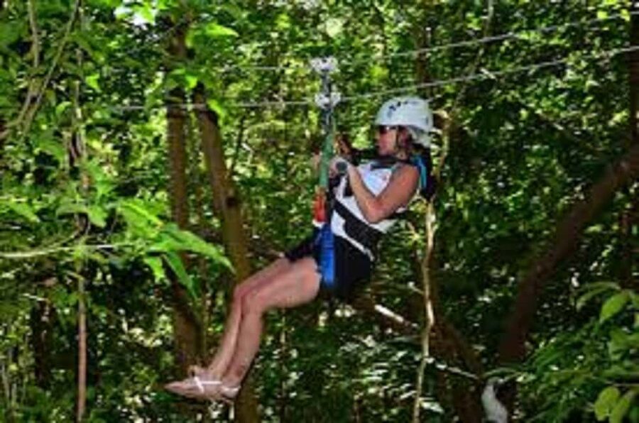 Jamaica Bobsled and Zip Line Adventure Tour - Key points to know before you go