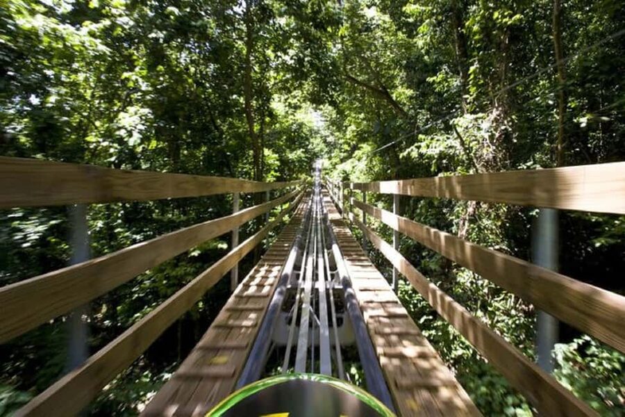 Jamaica Bobsled and Zip Line Adventure Tour - The ride from your hotel to the mountain