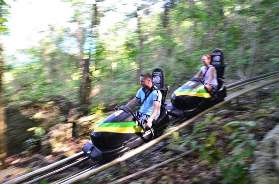 Jamaica Bobsled and Zip Line Adventure Tour - Sky Explorer gives you the first view