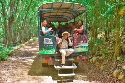 Jamwest Negril Zipline and JamCulture Combo