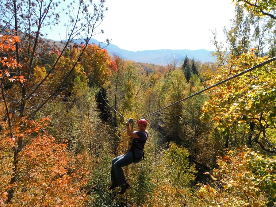 Jeffersonville, VT: ArborTrek Zipline Canopy Tour - Key points to know before you book