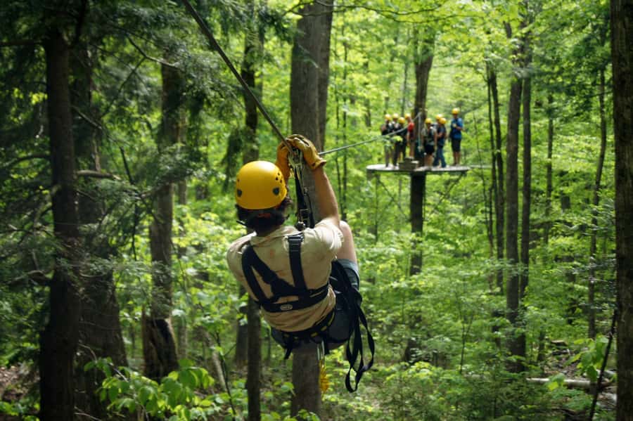 Jeffersonville, VT: ArborTrek Zipline Canopy Tour - A canopy course in the Green Mountains