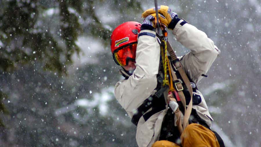 Jeffersonville, VT: ArborTrek Zipline Canopy Tour - Eight ziplines through mature forest