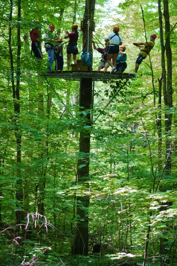 Jeffersonville, VT: ArborTrek Zipline Canopy Tour - Suspension bridges add balance and patience