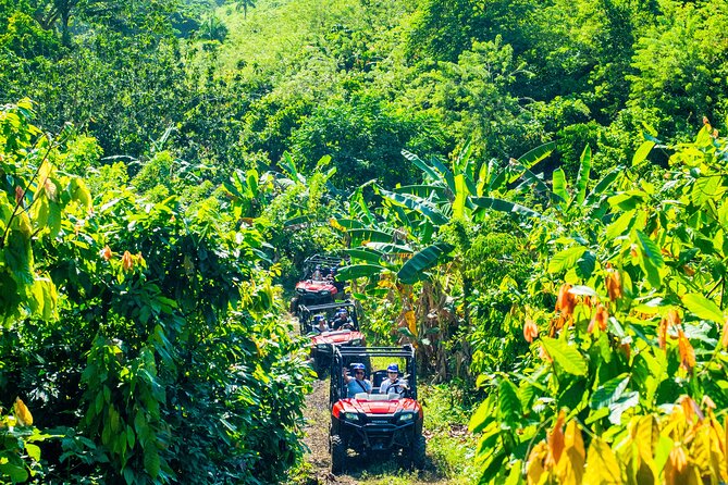 Jungle Buggies + Ziplines Adventures - What this Punta Cana adventure actually includes